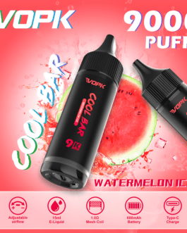 Cool Bar goût pastèque à la menthe